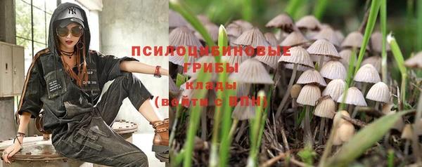 круглые Абаза